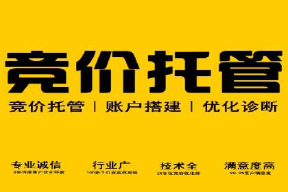 竞价推广SEM托管案例：优化策略成就品牌效应